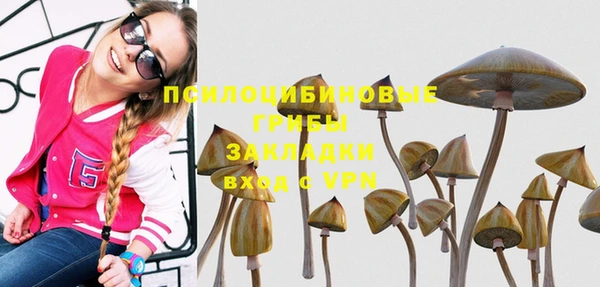 прущие крисы Алексеевка