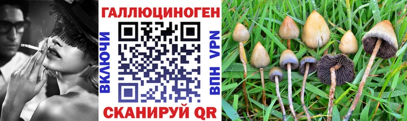 наркотики  Сарапул  Галлюциногенные грибы GOLDEN TEACHER 